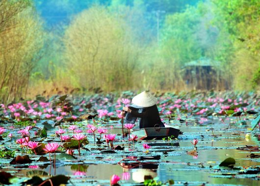 Vietnam-Hanoi-42