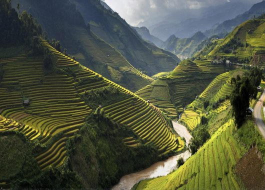 Vietnam-header-rejsebamsen